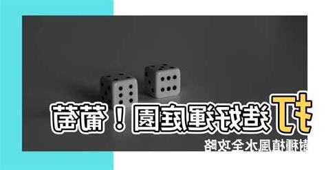 葡萄 風水